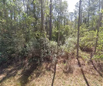 GEORGETOWN FL Property