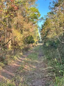 DELAND FL Property