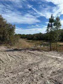 WEBSTER FL Property