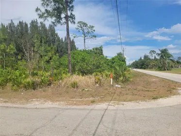 LEHIGH ACRES FL Property