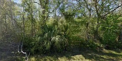 PORT ORANGE FL Property