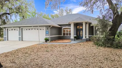 LADY LAKE FL Home
