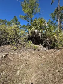 NORTH PORT FL Property