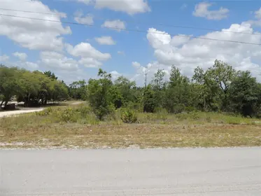 WILLISTON FL Property