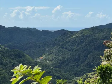 PONCE PR Property