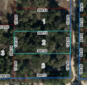 BRONSON FL Property