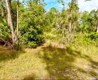INDIAN LAKE ESTATES FL Property