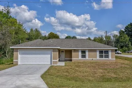 OCKLAWAHA FL Home