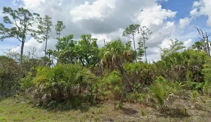 NORTH PORT FL Property