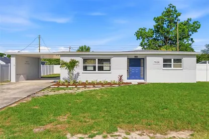 ST PETERSBURG FL Home