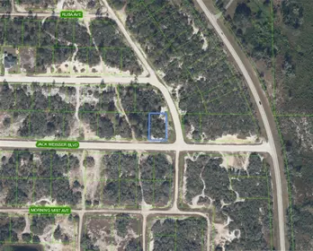 LAKE PLACID FL Property
