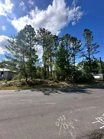 CITRUS SPRINGS FL Property
