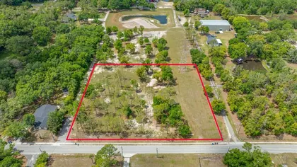 LUTZ FL Property