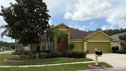 LAND O LAKES FL Home