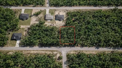 OCKLAWAHA FL Property