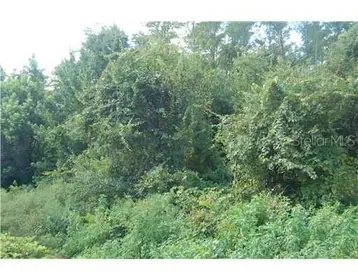 FROSTPROOF FL Property