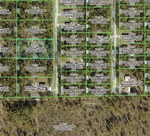 WEEKI WACHEE FL Property