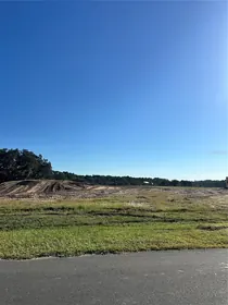 UMATILLA FL Property