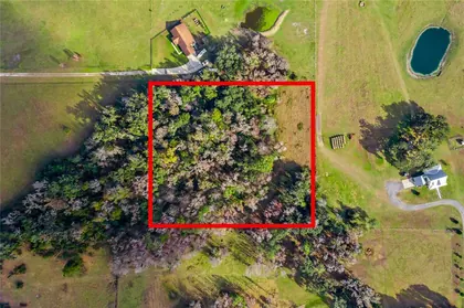SUMTERVILLE FL Property