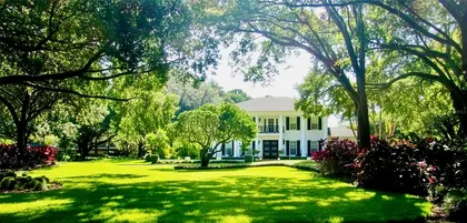 TAMPA FL Home