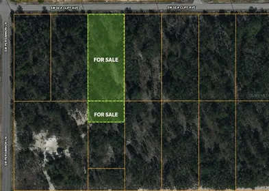 DUNNELLON FL Property