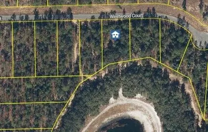 INTERLACHEN FL Property