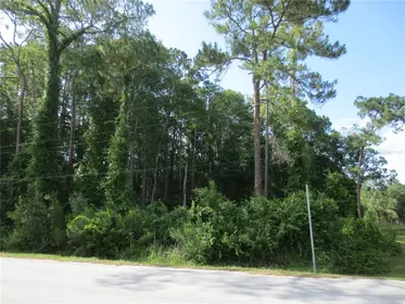 SILVER SPRINGS FL Property