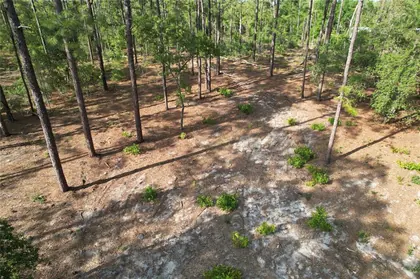 MORRISTON FL Property