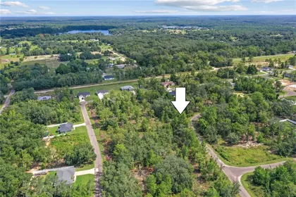 OCKLAWAHA FL Property