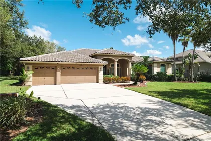 OLDSMAR FL Home
