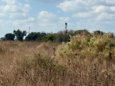 THONOTOSASSA FL Property