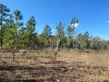 HAWTHORNE FL Property