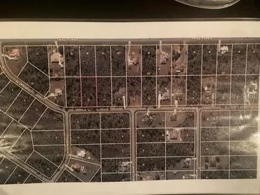 ORLANDO FL Property