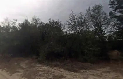 INVERNESS FL Property