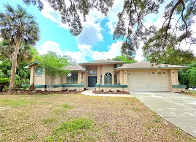 SPRING HILL FL Home