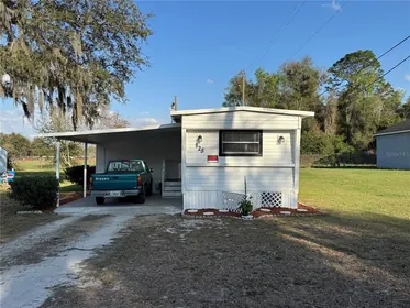 LAKE PANASOFFKEE FL Home