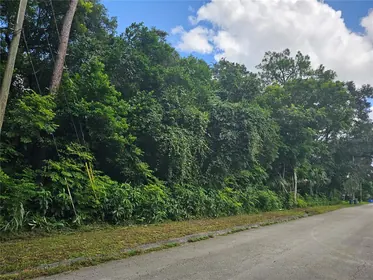 ORANGE CITY FL Property