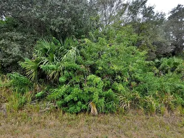 NORTH PORT FL Property