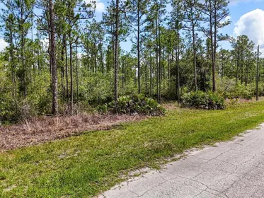 LAKE WALES FL Property