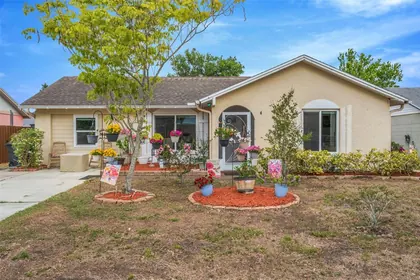 NEW PORT RICHEY FL Home