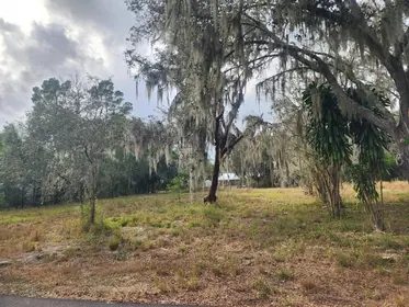PLANT CITY FL Property