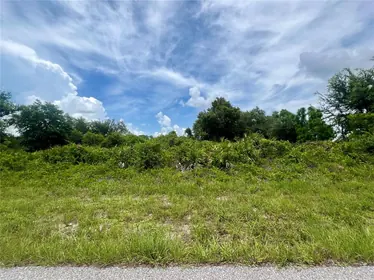 PORT CHARLOTTE FL Property