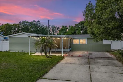 LAKE ALFRED FL Home