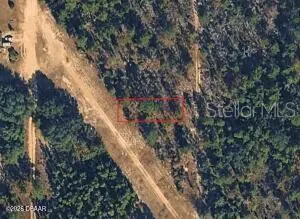 INTERLACHEN FL Property