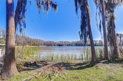 LAND O LAKES FL Home