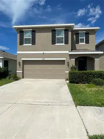WESLEY CHAPEL FL Home