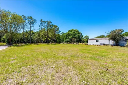 WESLEY CHAPEL FL Property