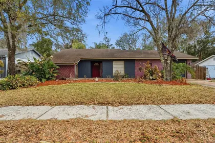 LUTZ FL Home
