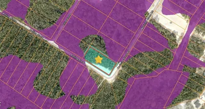 WEBSTER FL Property