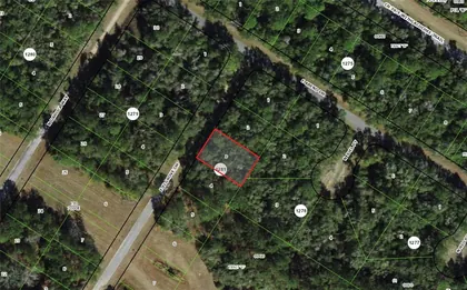DUNNELLON FL Property